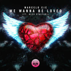 We Wanna Be Loved(Radio Edit)