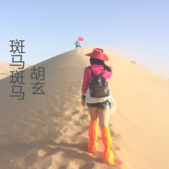 斑马斑马