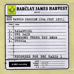She Said (Bob Harris Session)