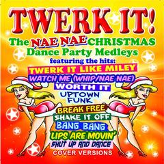 Medley， Pt.  2: Twerk It Like Miley / DeckTheHalls / Worth It / Jingle Bells