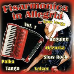 Amore e fisarmonica / Ritmo Solare