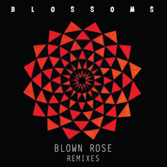 Blown Rose(Alan Braxe Remix)