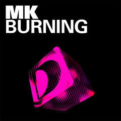 Burning(Round Table Knights Remix)