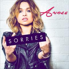 Sorries(Album Version)