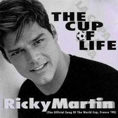 The Cup of Life(Radio Edit)