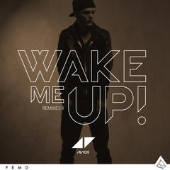 Wake Me Up(EDX Miami Sunset Remix)