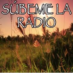 SUBEME LA RADIO(REMIX|- Tribute to Enrique Iglesias， Sean Paul and Matt Terry)