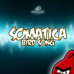 Bird Song(Original Mix)