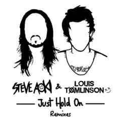 Just Hold On(Steve Aoki Festival Edit)