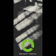 Wanderin’ Destiny(Boom The Bass Mix)