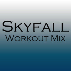 Skyfall(Hi Energy Remix Radio Edit)