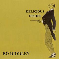 Story Of Bo Diddley