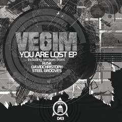 You Are Lost(Steel Grooves Remix)