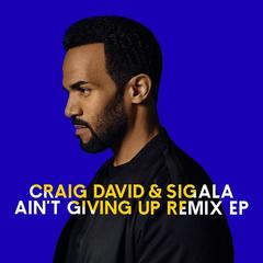 Ain’t Giving Up(Freejak Remix)