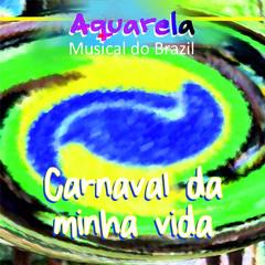 Samba da Minha Terra(Live At Carnegie Hall)(Live)