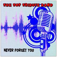 Never Forget You(Plane Mix)