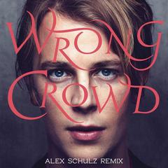 Wrong Crowd(Alex Schulz Remix)