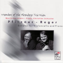 Sonata No. 4 for Violoncello and Piano in A Minor, Op. 116: I. Allegro moderato