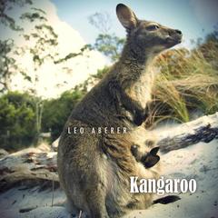 Kangaroo(Radio Edit)