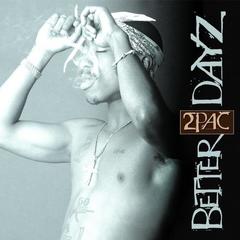 Better Dayz