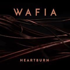 Heartburn(Felix Cartal Remix)