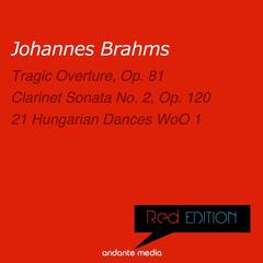No. 12 in D Minor, Presto (Orchestra Version)