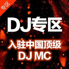 精选光音坊DJ杨杰全中文车载音乐