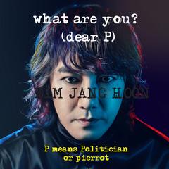 What Are You ？(Dear P. Politician Or Pierrot)