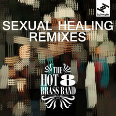 Sexual Healing(20th Anniversary Version)