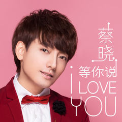 等你说 I Love You