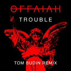 Trouble(Tom Budin Remix)