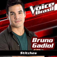 Stitches(The Voice Brasil 2016)