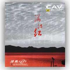 丁香花