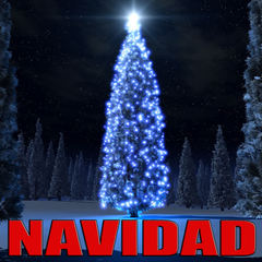 Navidad India