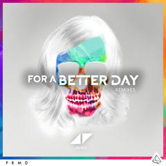 For A Better Day(KSHMR Remix)