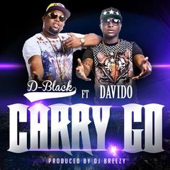 Carry Go(Produced by DJ Breezy)