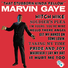 Stubborn Kind Of Fellow(Mono Single)