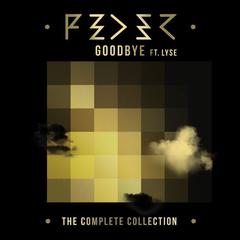 Goodbye (feat. Lyse)(Kokiri Remix)