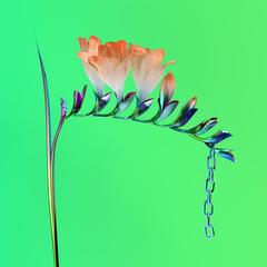 TRUST feat. Isabella Manfredi