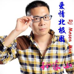 爱情北极圈 Dj Mosen Mix