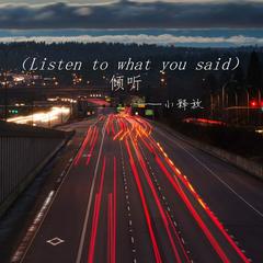 倾听（Listen to what you said）