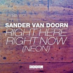 Right Here Right Now (Neon)(Ummet Ozcan Vocal Mix)