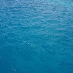 Waves