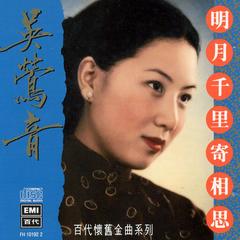 小猫咪