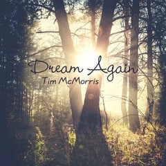 Dream Again