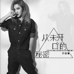 从未开口的秘密 (伴奏)