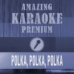 Polka， Polka， Polka(Single Edit) (Originally Performed By Brings|Premium Karaoke Version)