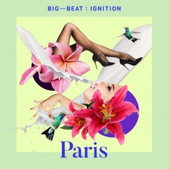 Fine Day (feat. Anita Briem) (Henri’s Monstertooth Mix)