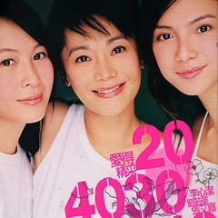 20 30 40
