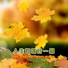 万民欢欣